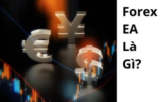 EA trong Forex là gì? Cách thức hoạt động và các loại EAs phổ biến