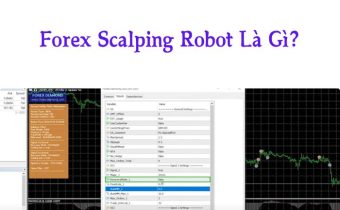 Forex Scalping Bot Là Gì? Phân biệt Scalping và Day Trading Robot