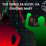 Các loại bot Forex được ưa chuộng nhất trên thế giới